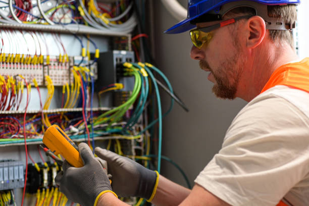 Best Electric Panel Repair  in Laurel Hill, VA